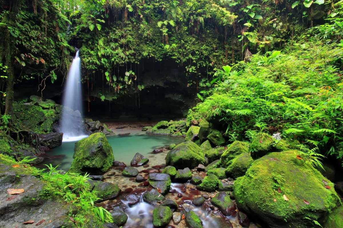 Emerald Lake Dominica