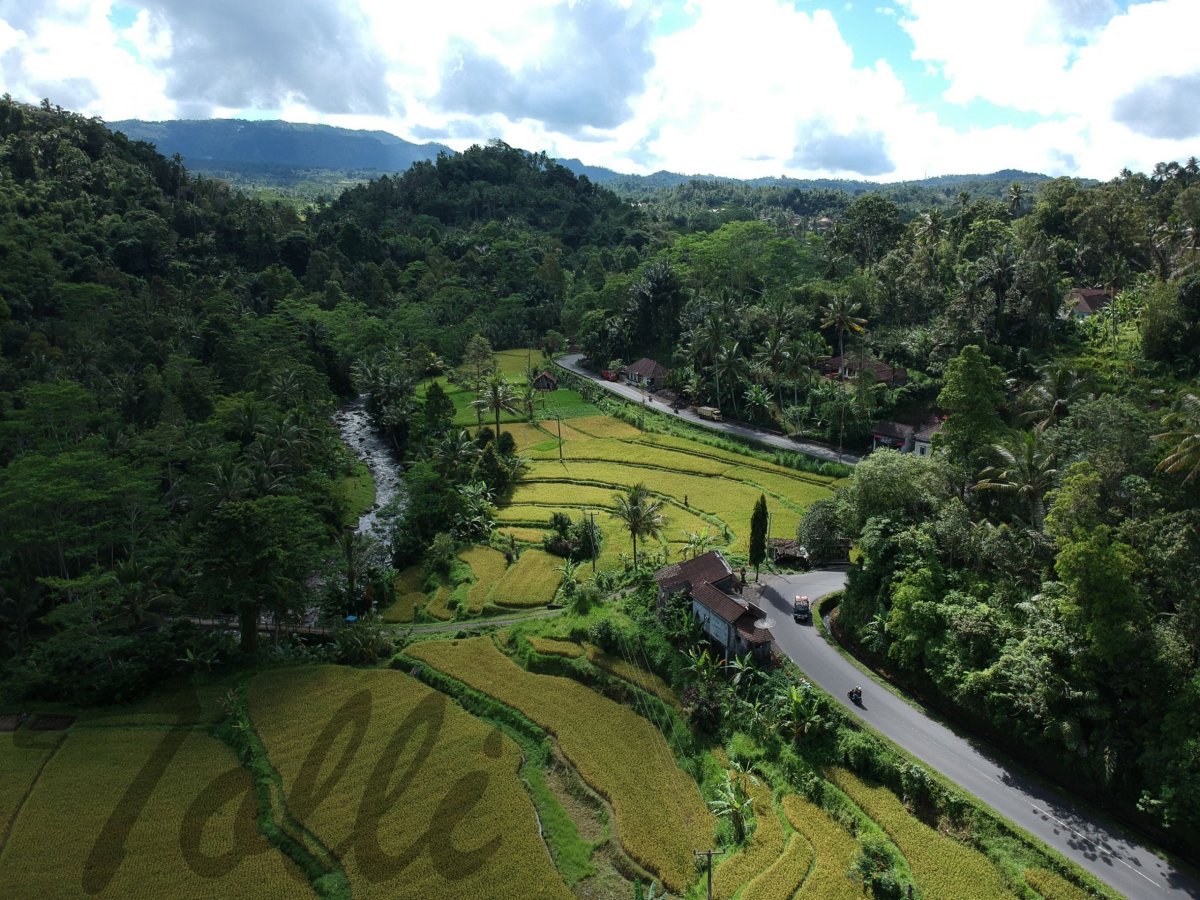 Rýžové terasy v údolí Sidemen