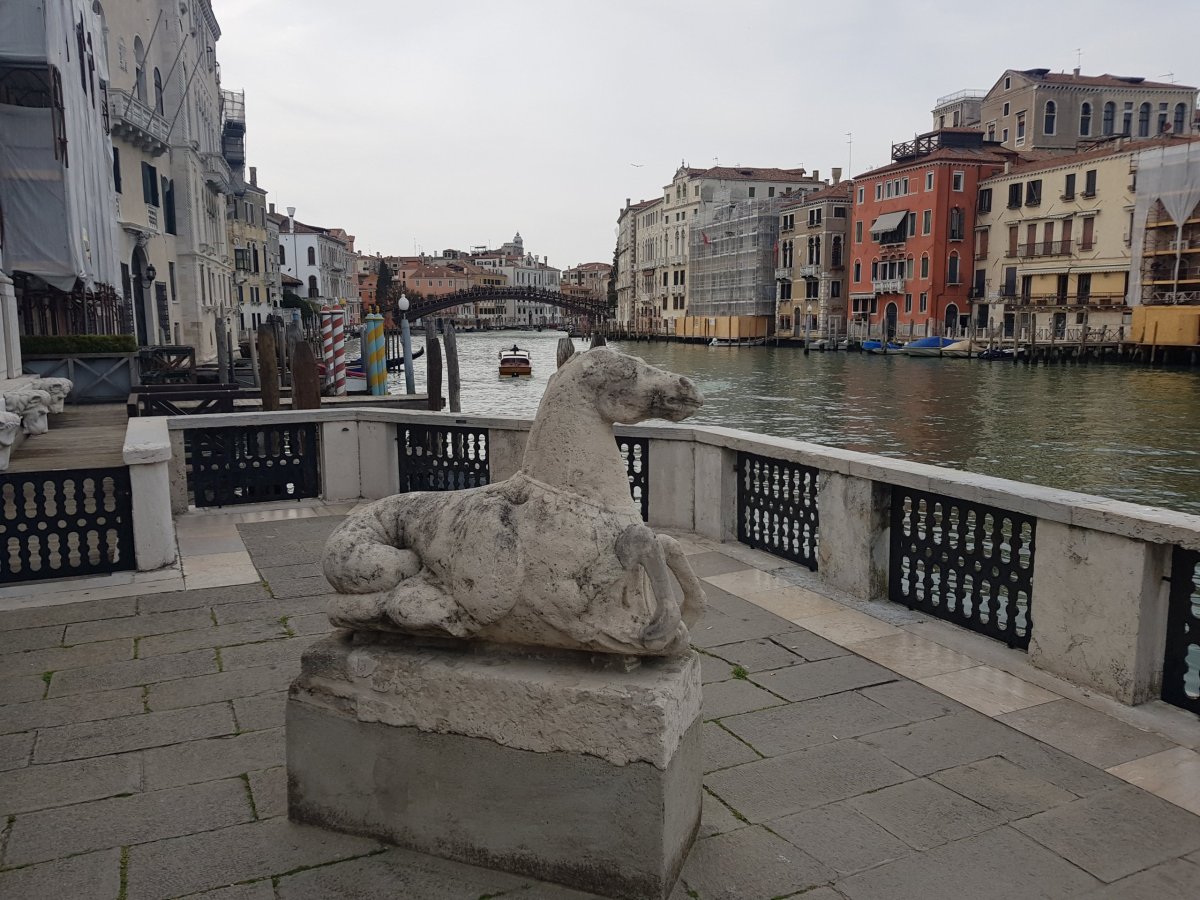 Výhled z terasy muzea.