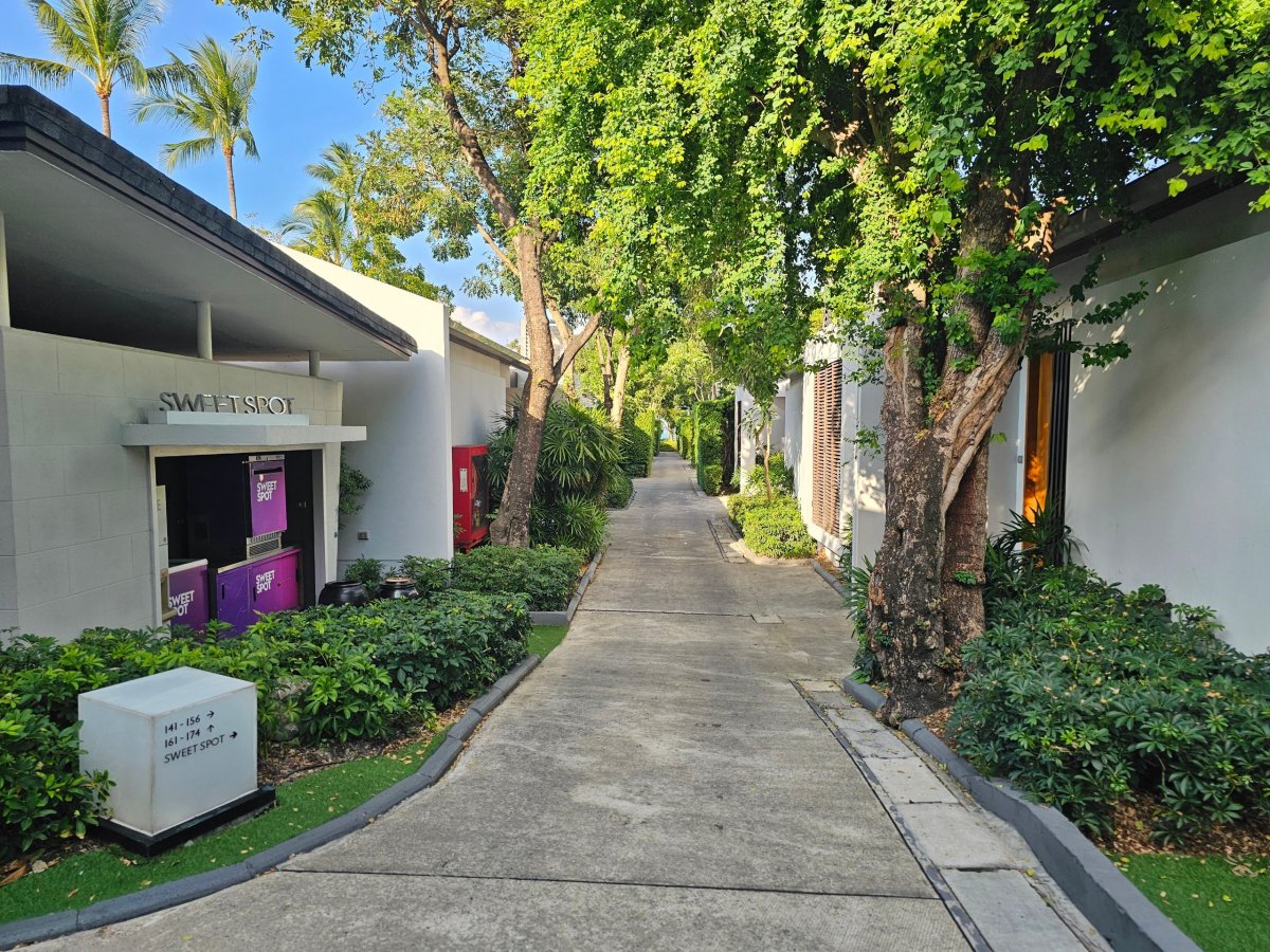 Vilky blíž k pláži