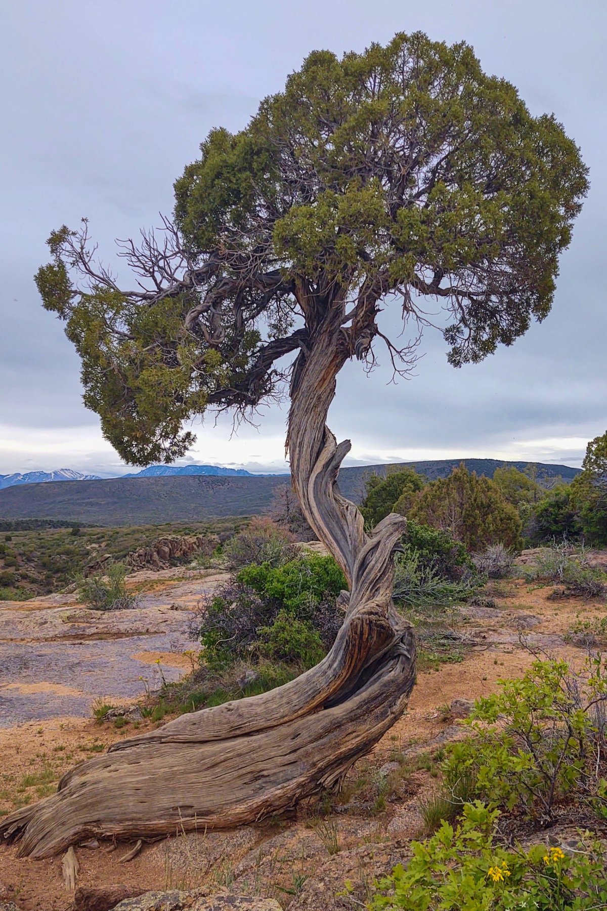 Black Canyon of the Gunnison