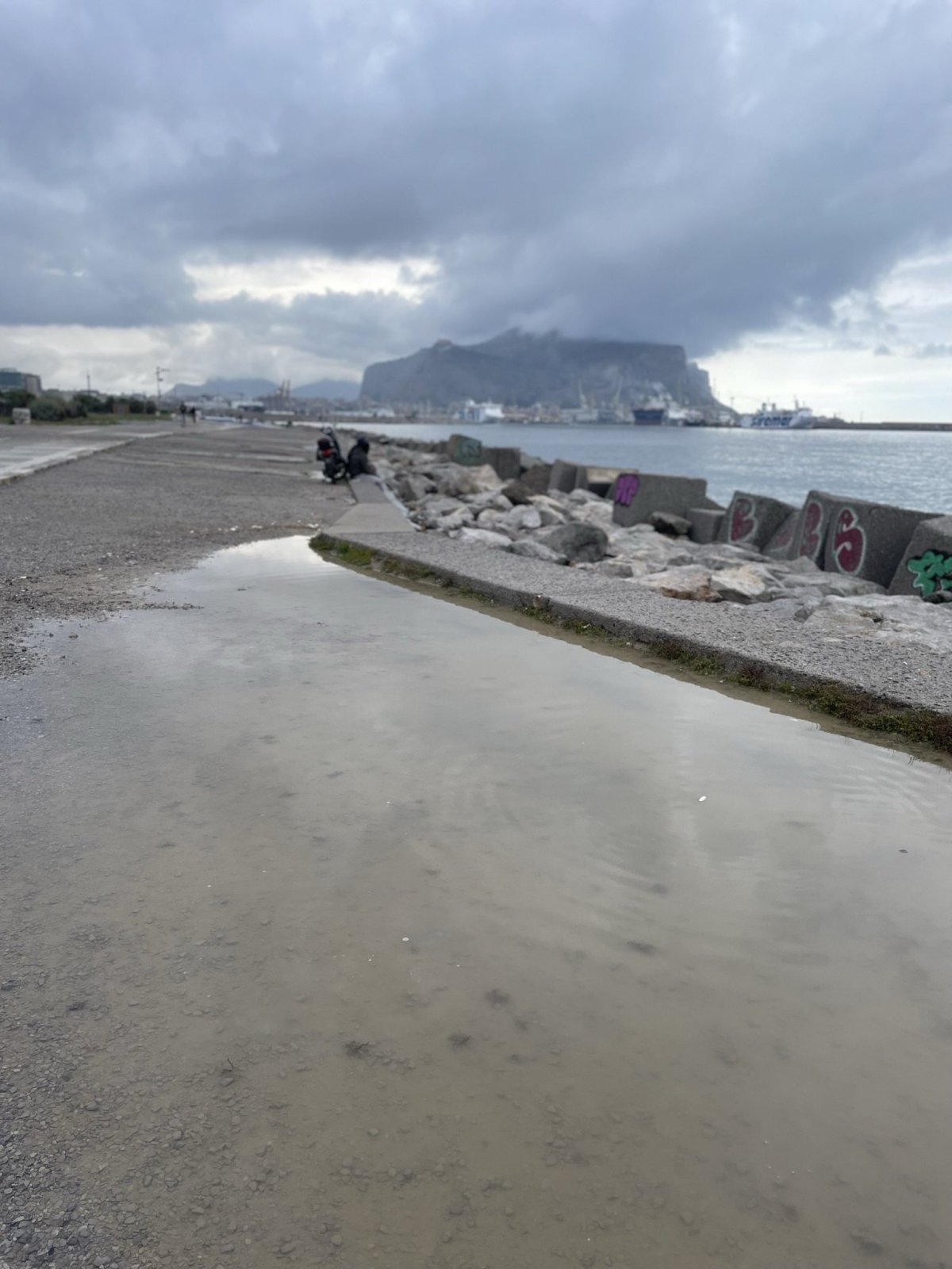 Pobřeží a v dálce Monte Pellegrino