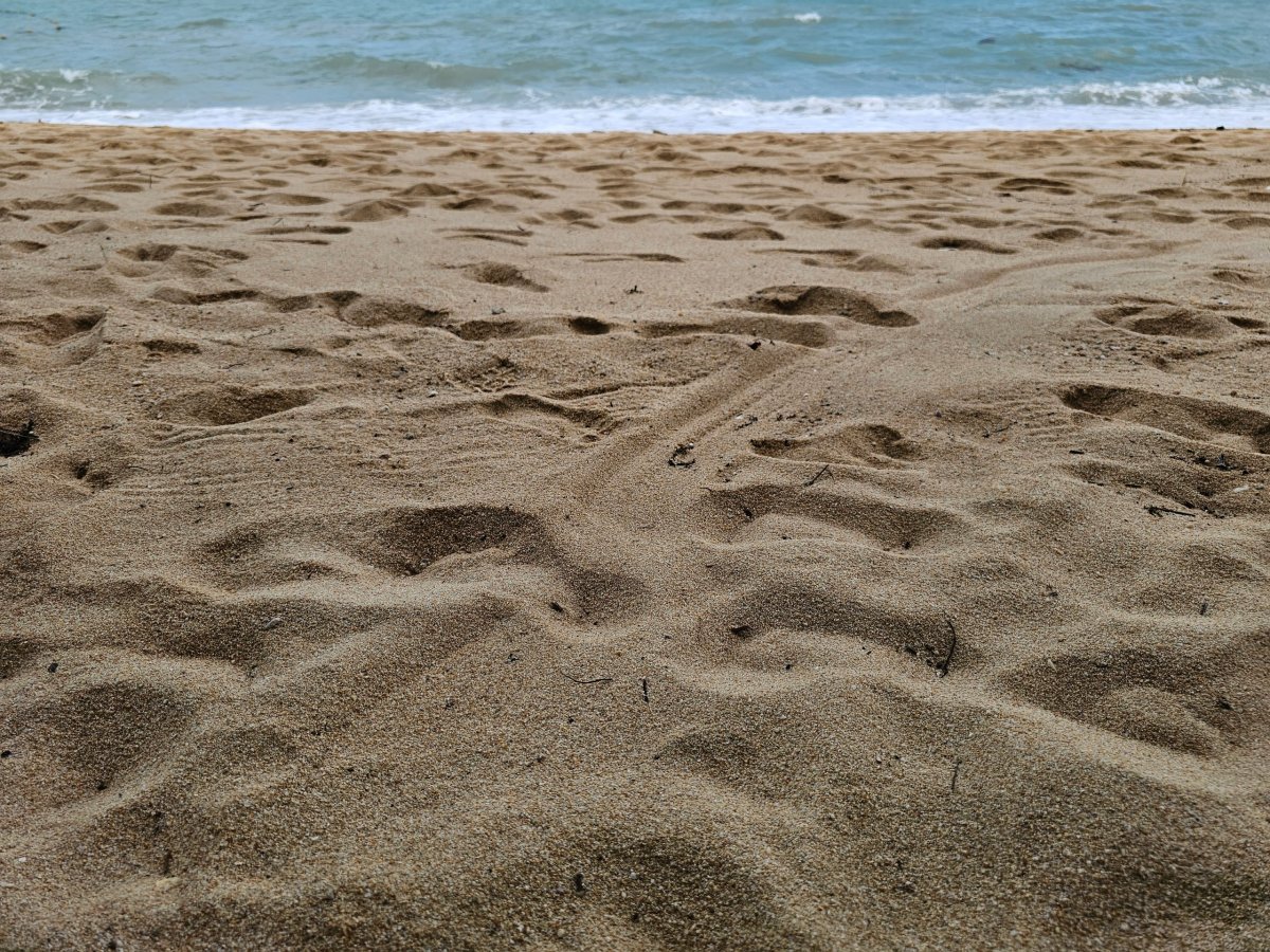 Hrubší písek na hotelové pláži