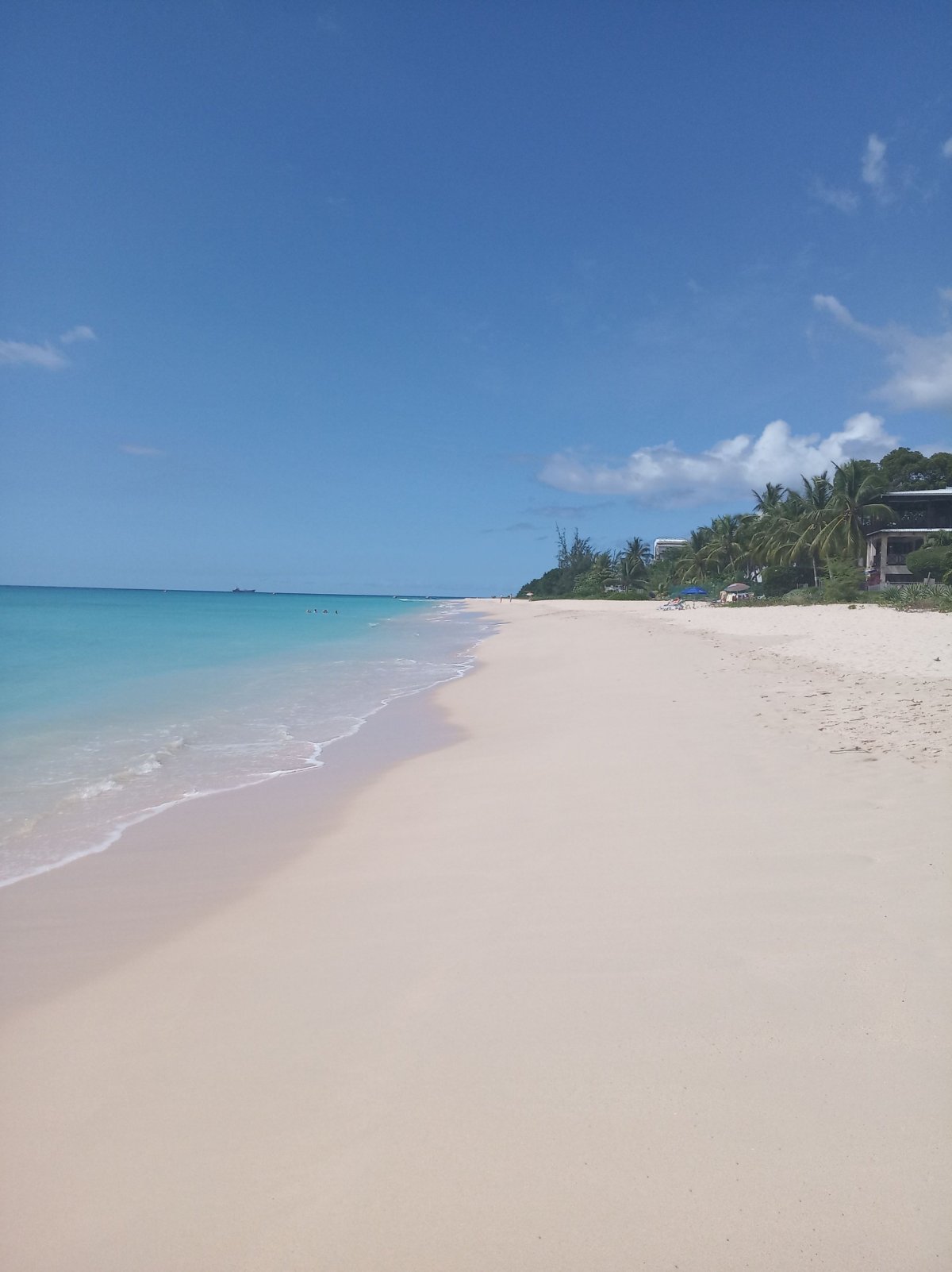 Hlavička uživatele