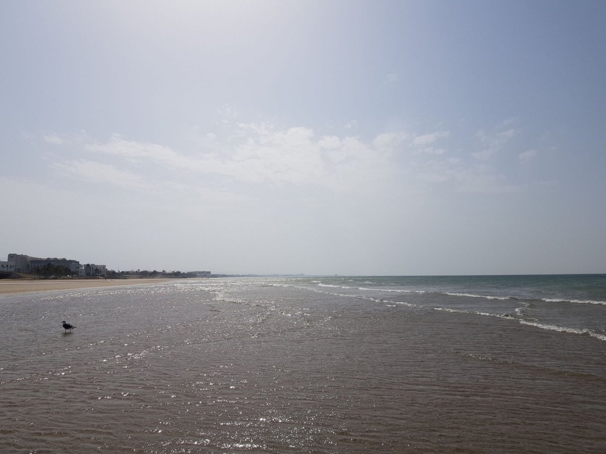 Al Qurum beach
