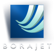 Logo Borajet