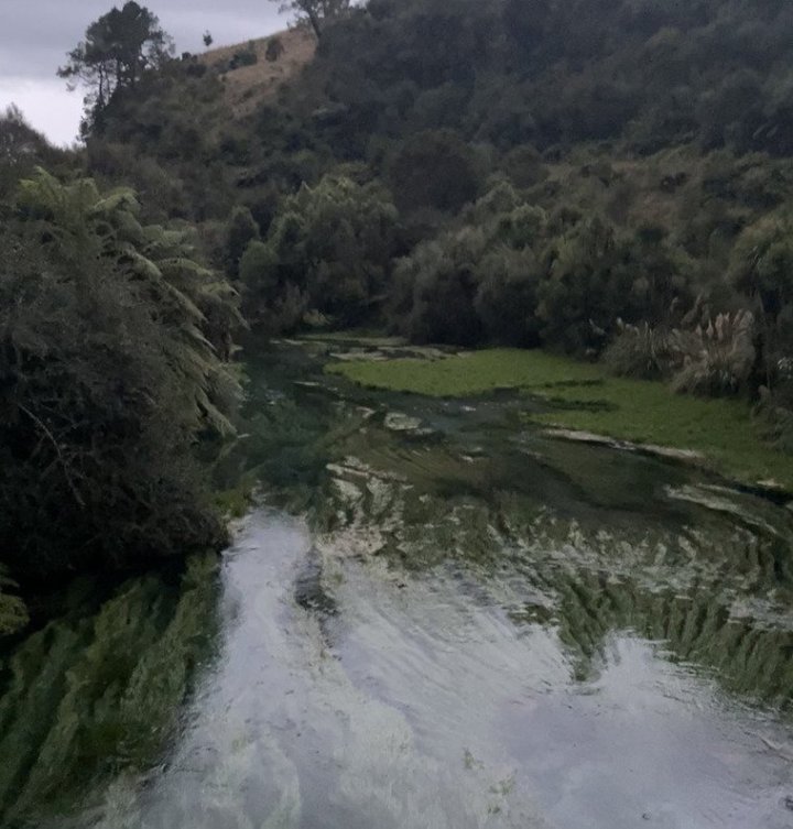 Blue Spring