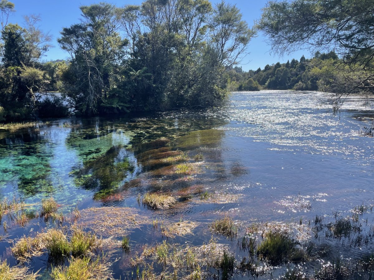 Te Waikoropupu Springs