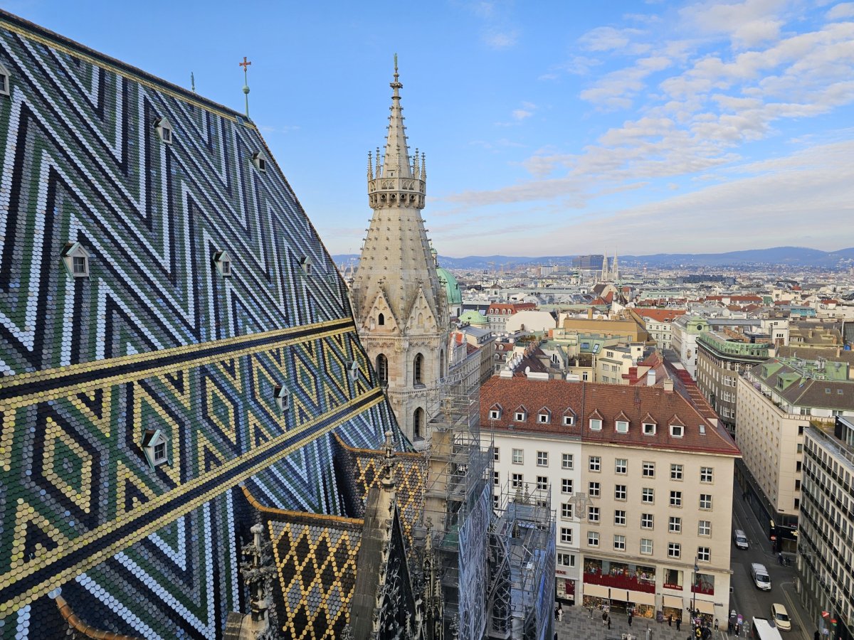 Výhled ze severní věže