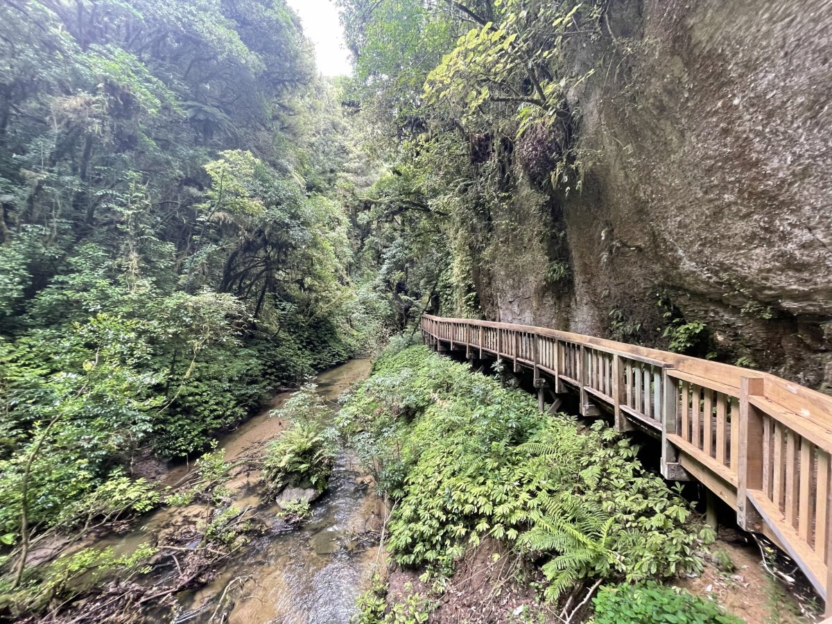 Mangapohue Natural Bridge