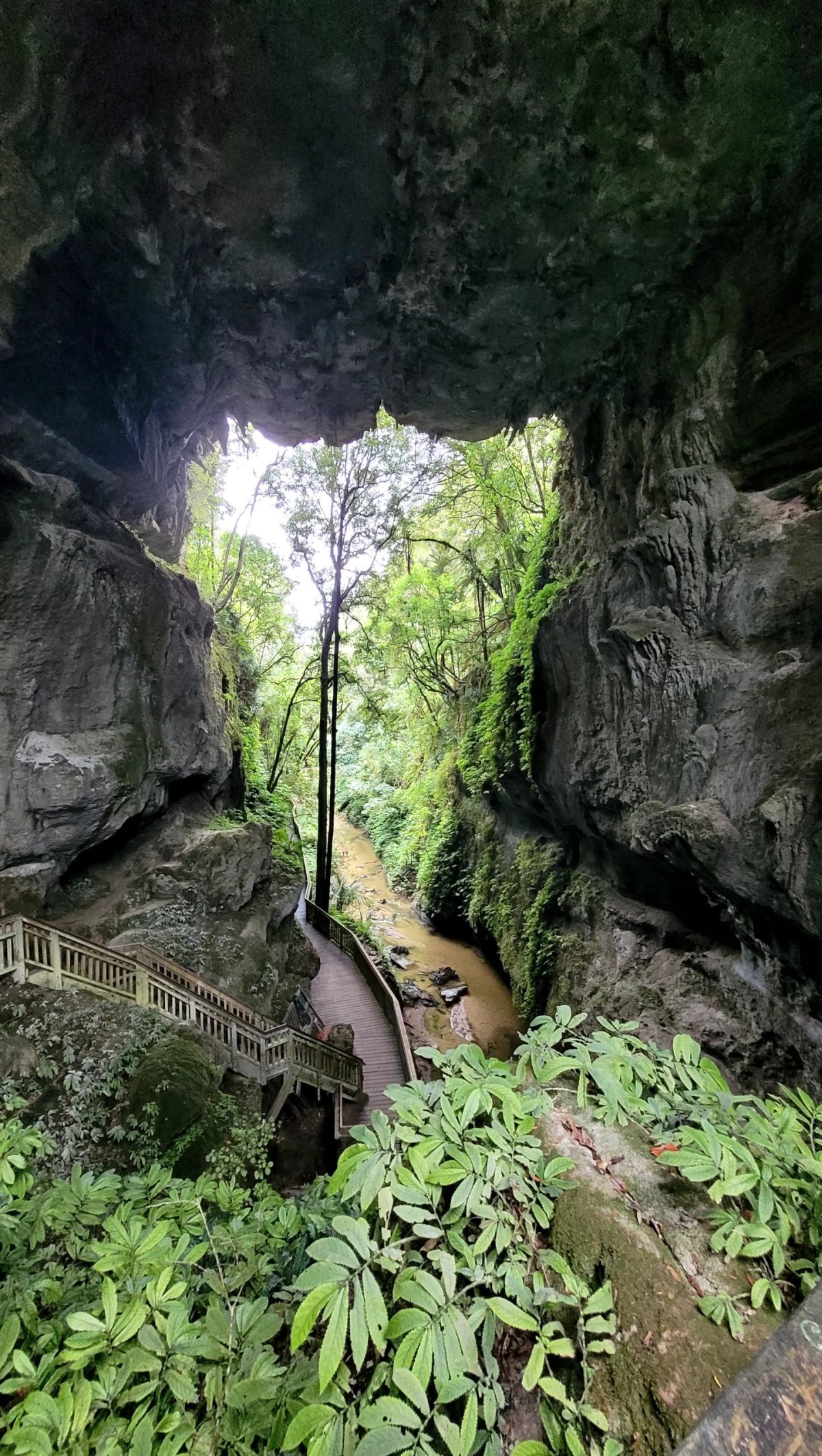 Mangapohue Natural Bridge