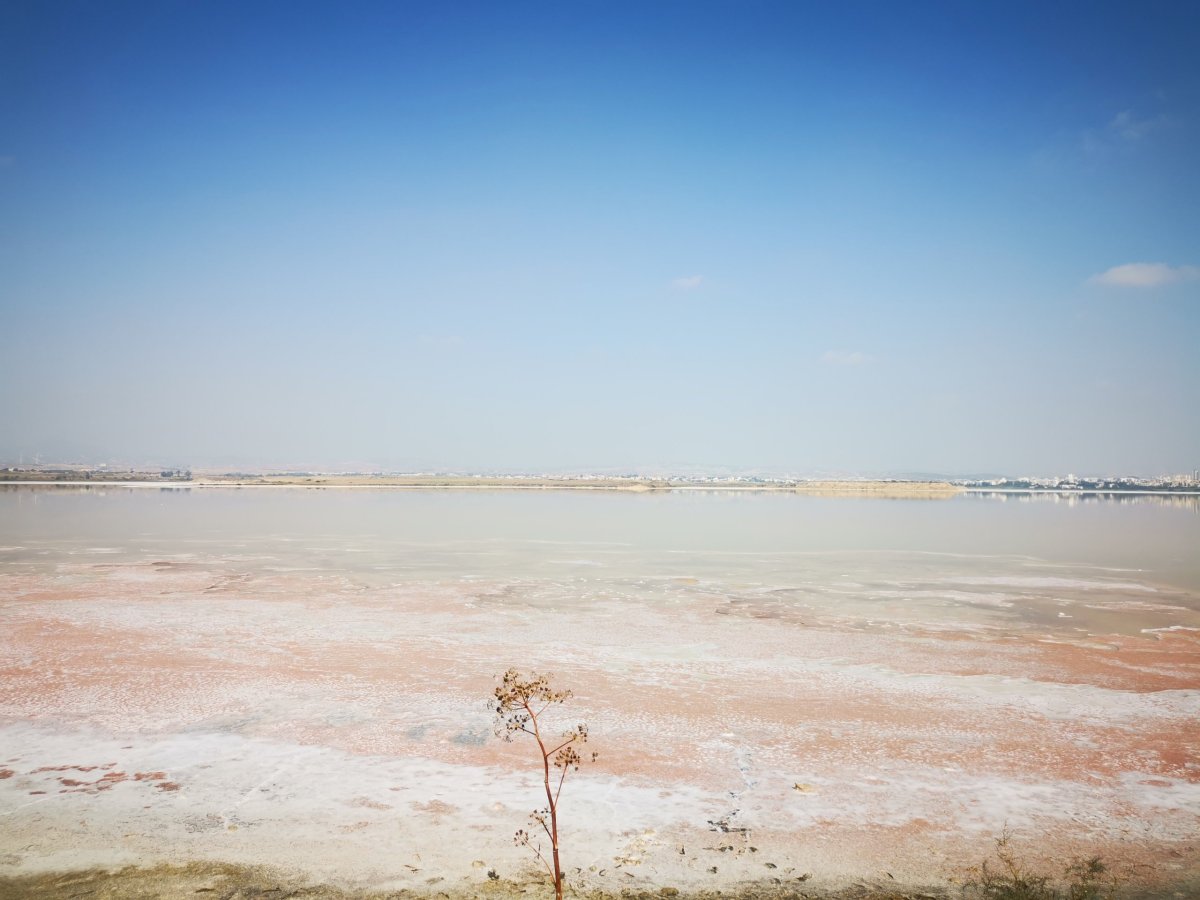 Larnaka - solné jezero