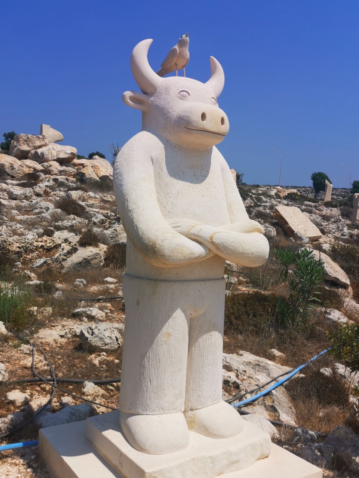 Aiya Napa - Sculpture Park
