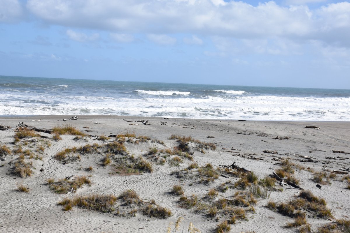 Jackson Bay, West Coast, Nový Zéland