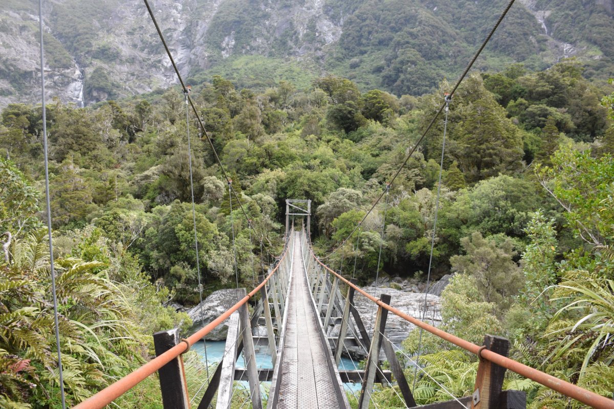 Copland Valley, West Coast, Nový Zéland