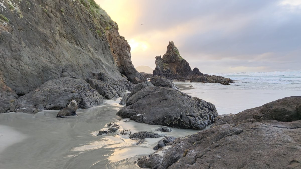 Allans Beach