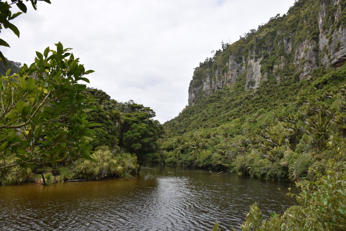 Národní park Paparoa, West Coast, Nový Zéland