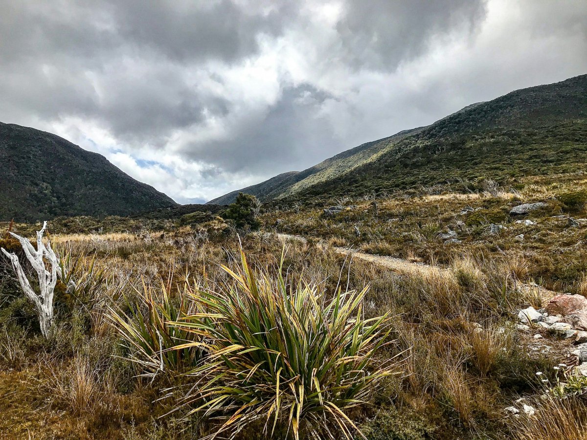 Národní park Kahurangi, West Coast, Nový Zéland