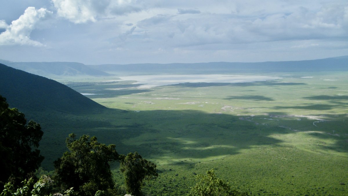 Ngorongoro