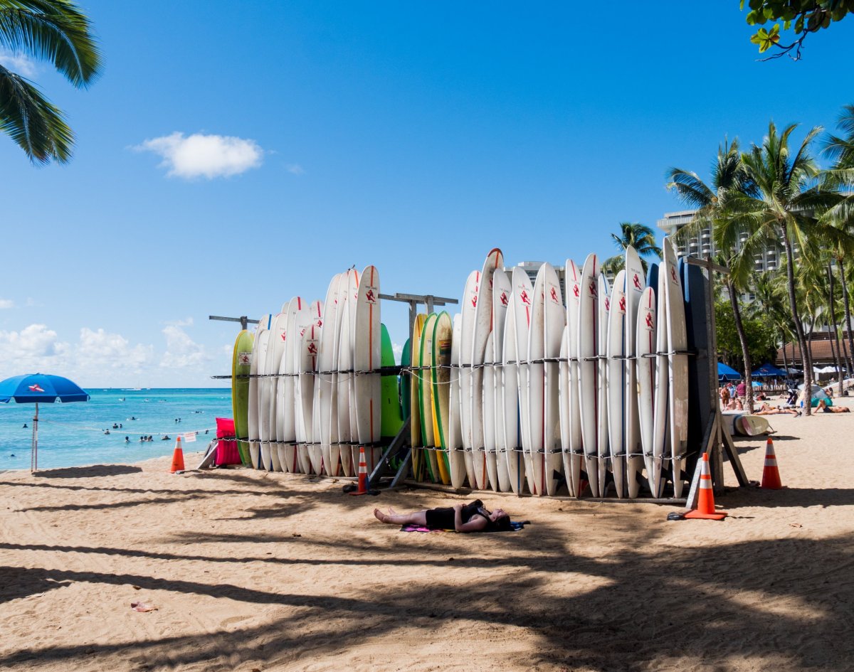 Waikiki Surf