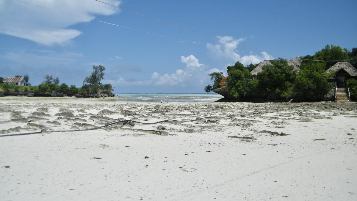 východní Zanzibar při odlivu