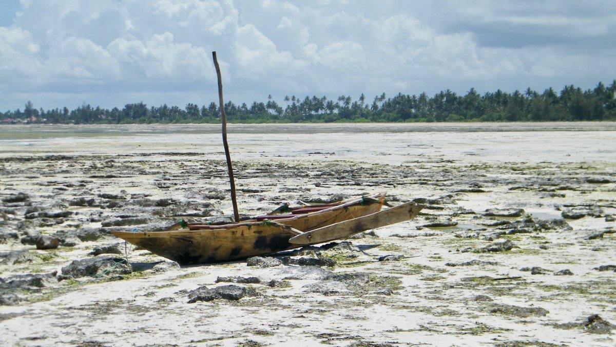 východní Zanzibar při odlivu