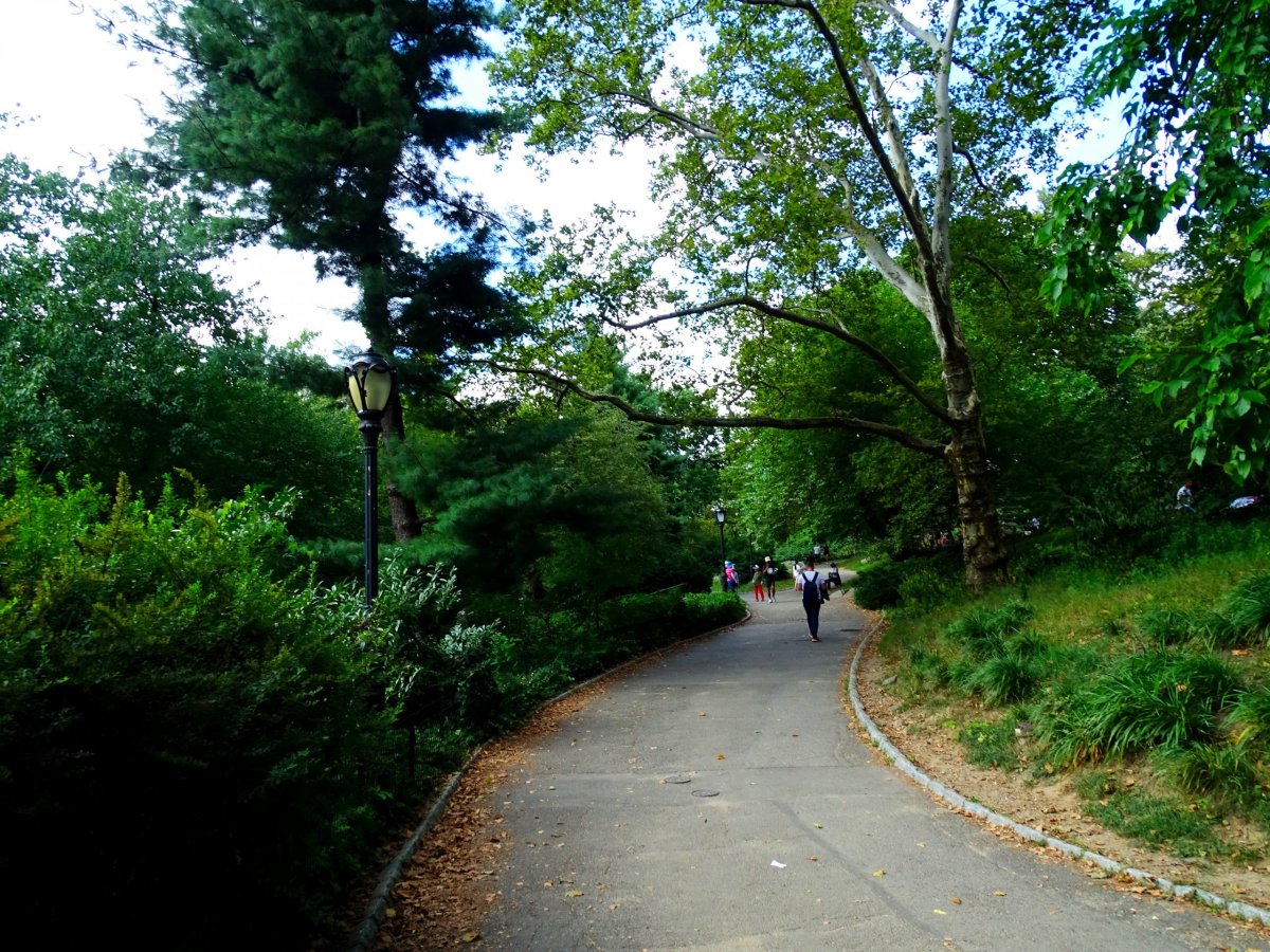 Central Park