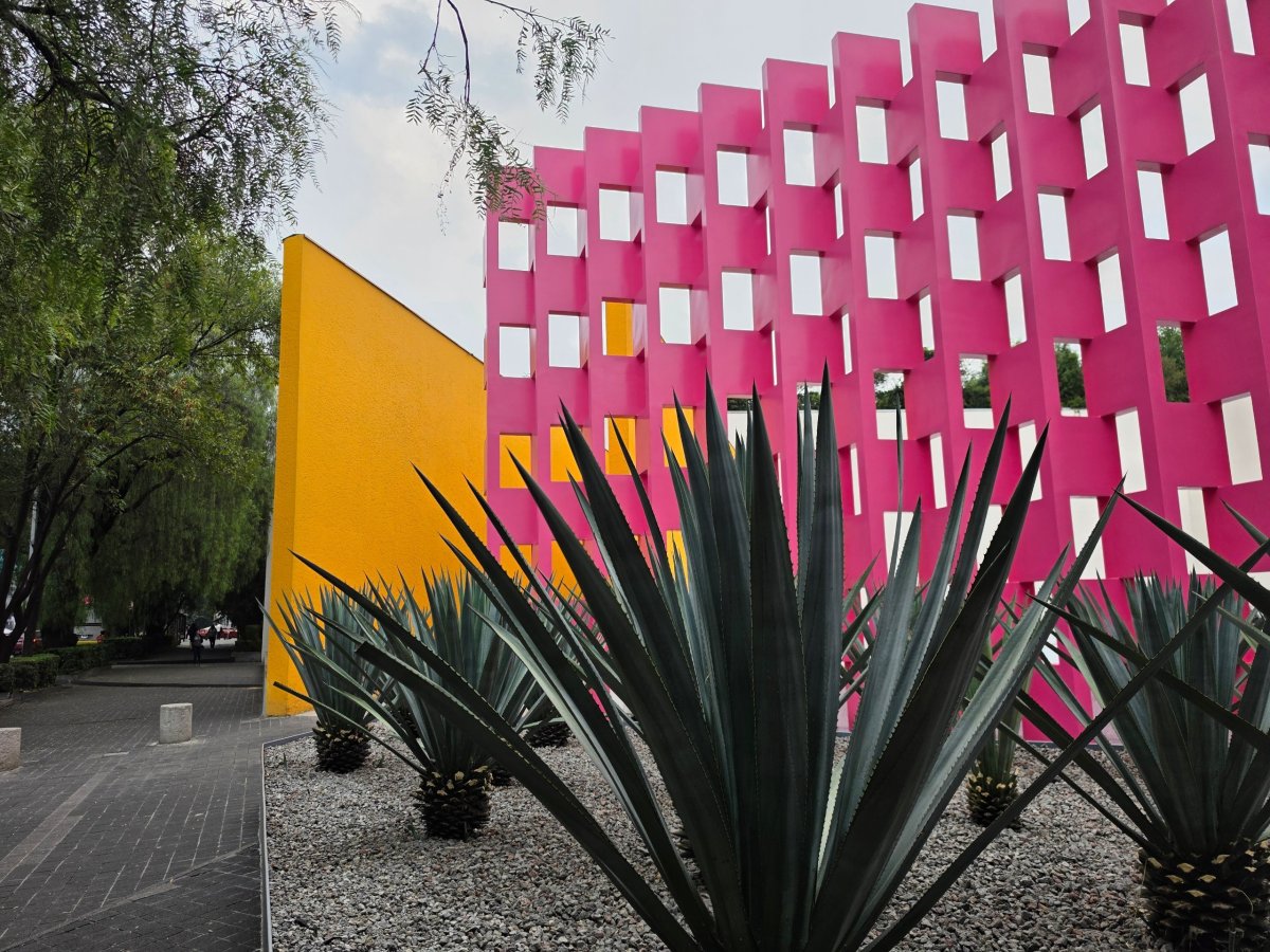Pink Wall