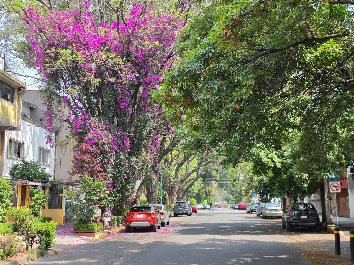 Čtvrť Coyoacán