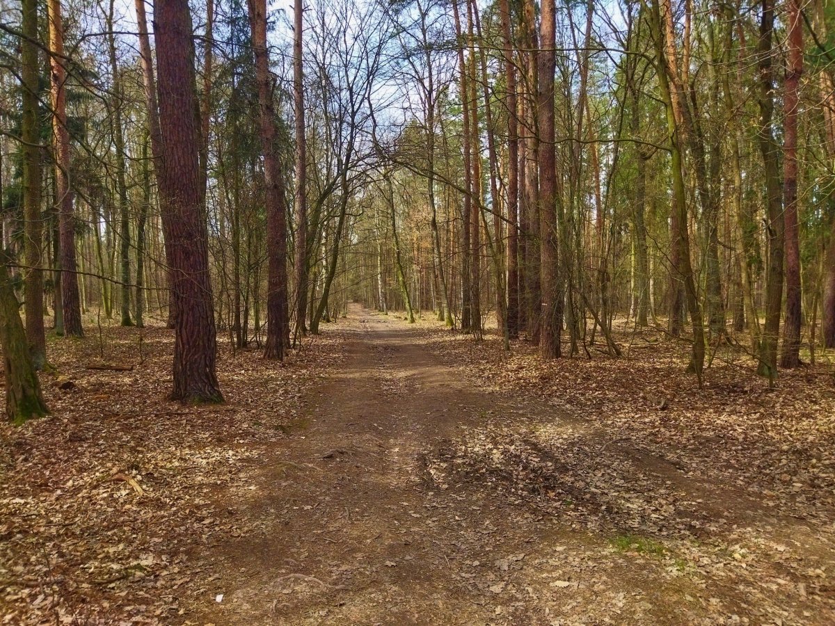 Někde v klánovickém lese, na hranicích tehdejšího světa