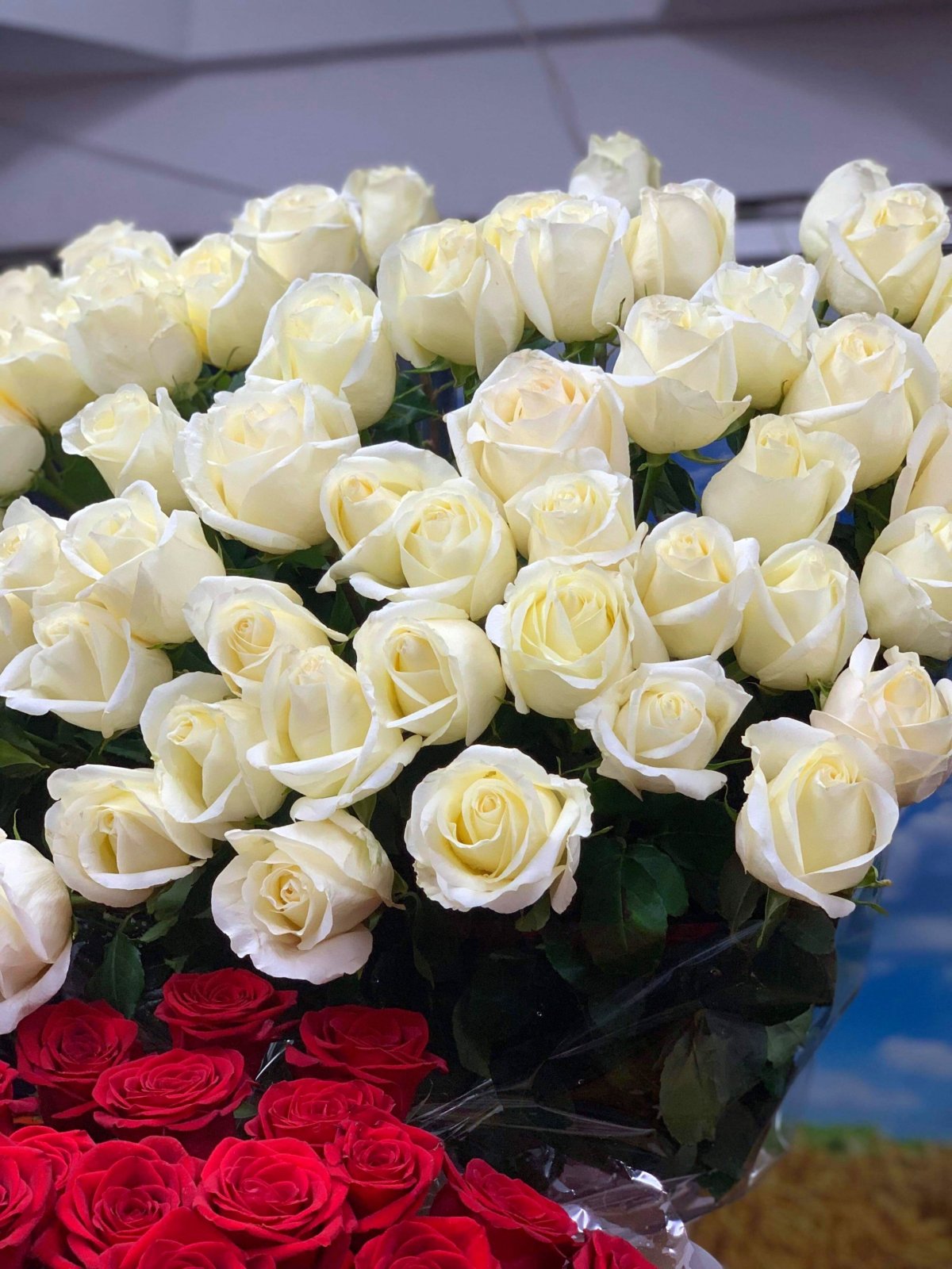 ...všude květiny!!!