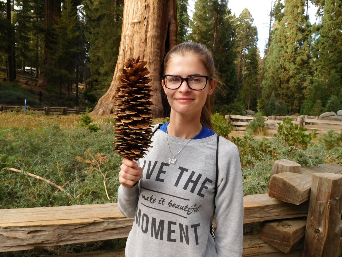 Šišky se domů neberou