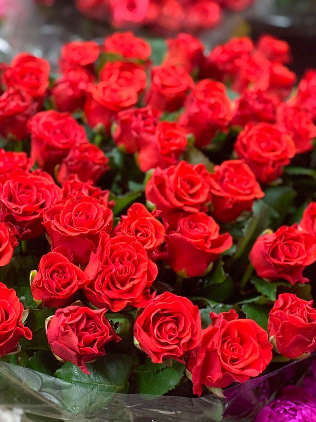 ...všude květiny!!!