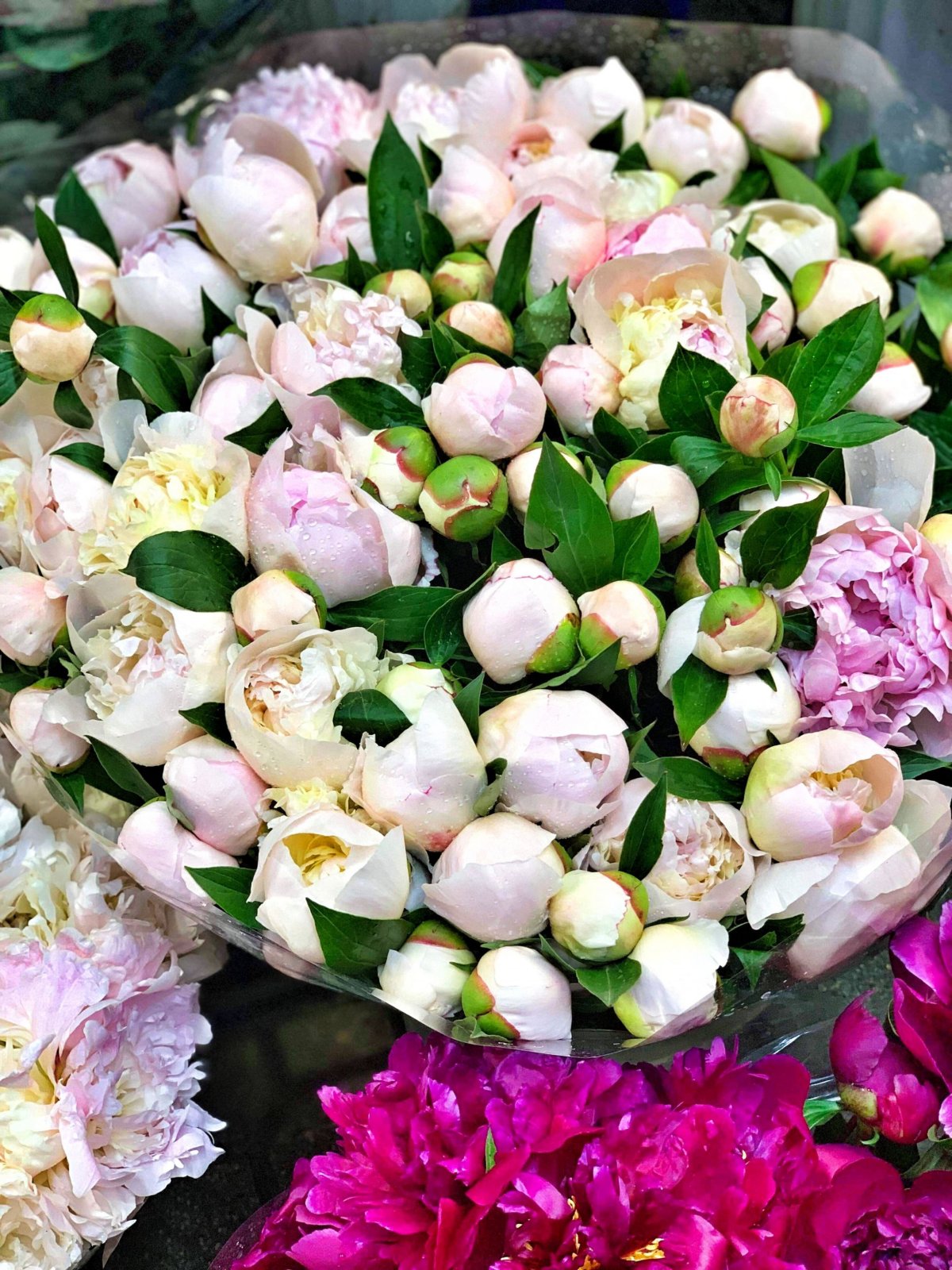 ...všude květiny!!!