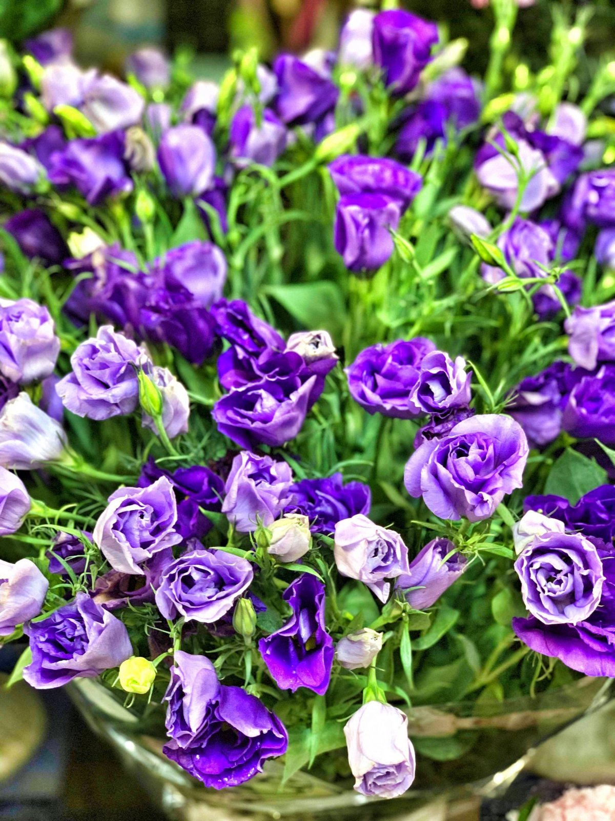 ...všude květiny!!!