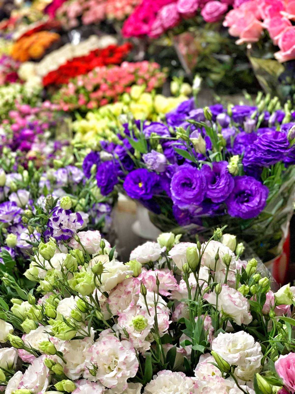 ...všude květiny!!!