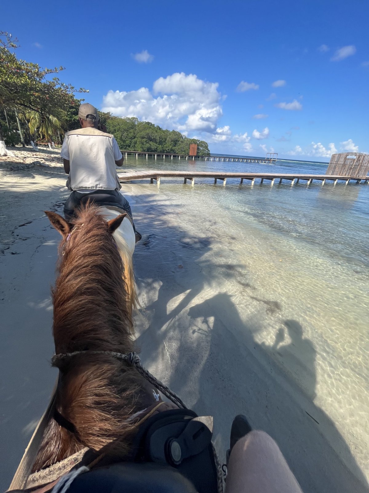 Jízda na koních na plážích Roatánu