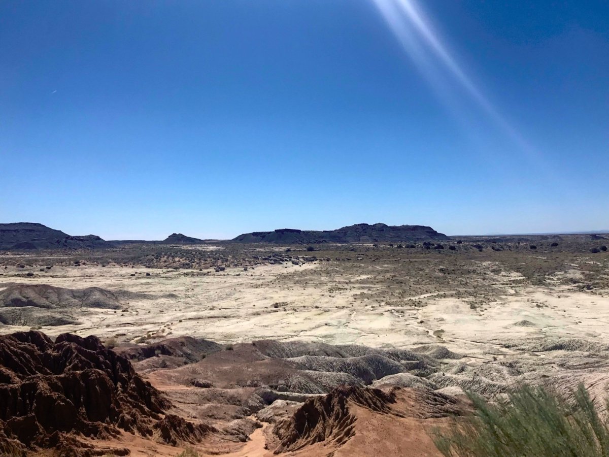 Petrified Forest National Park