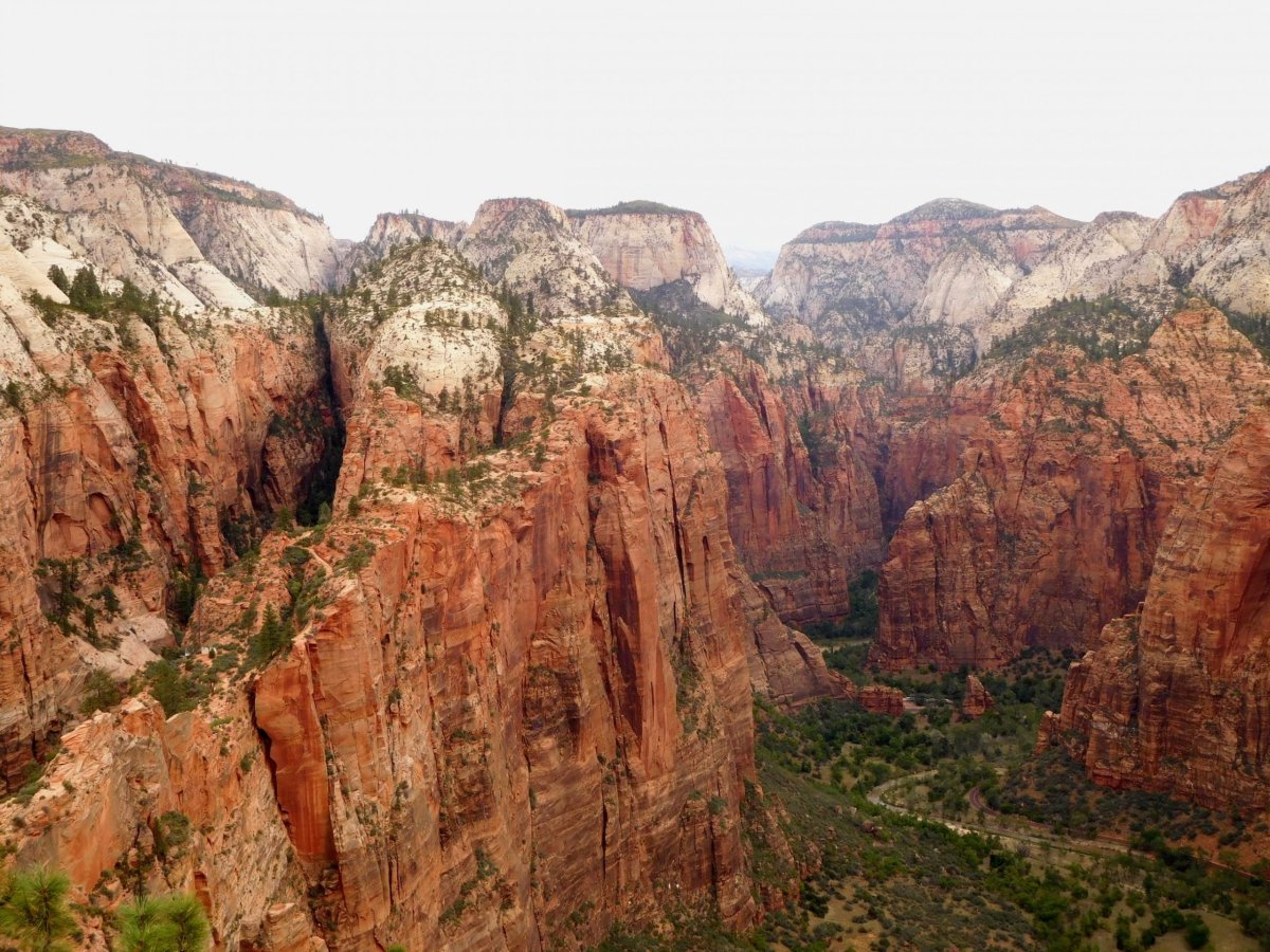 Angel's Landing - výhled shora