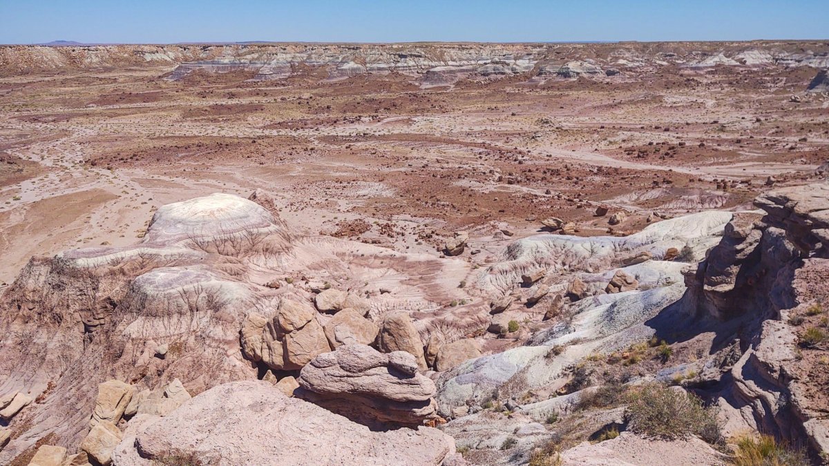 Jasper Forrest View Point