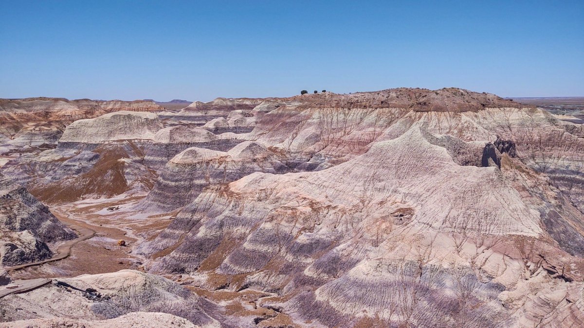 Blue Mesa Trail
