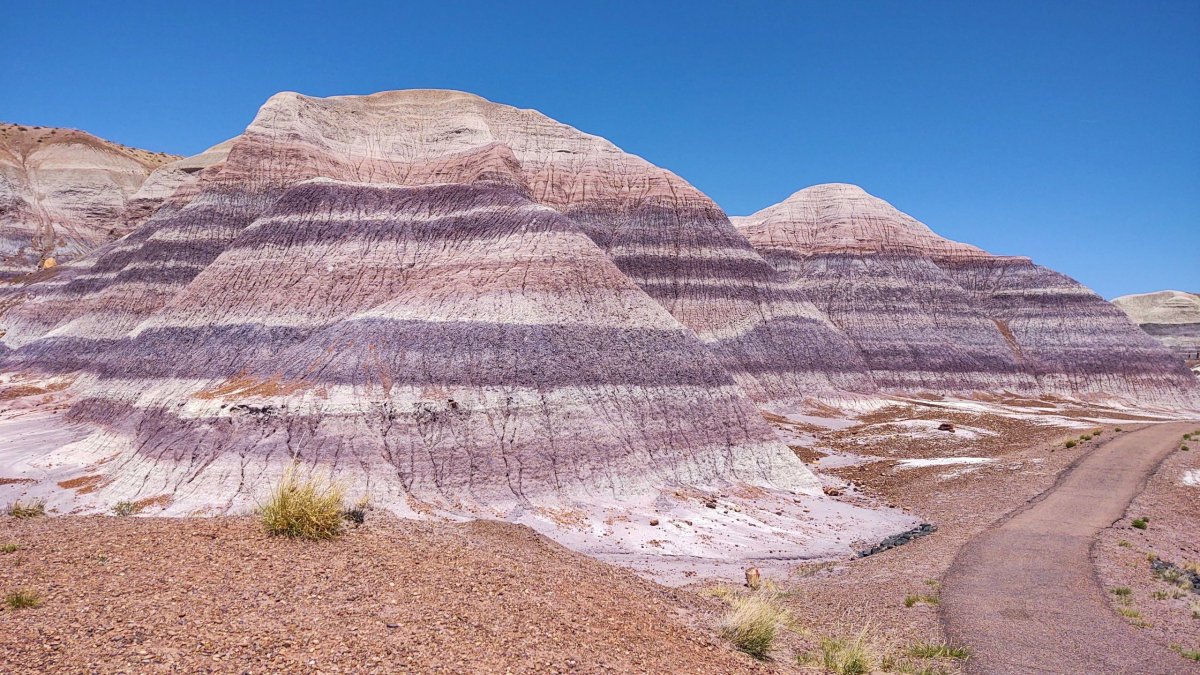 Blue Mesa Trail