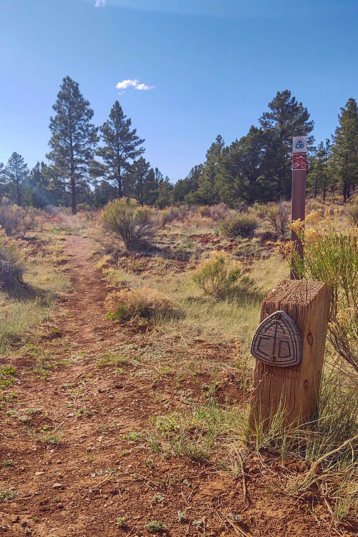 CDT v těsné blízkosti