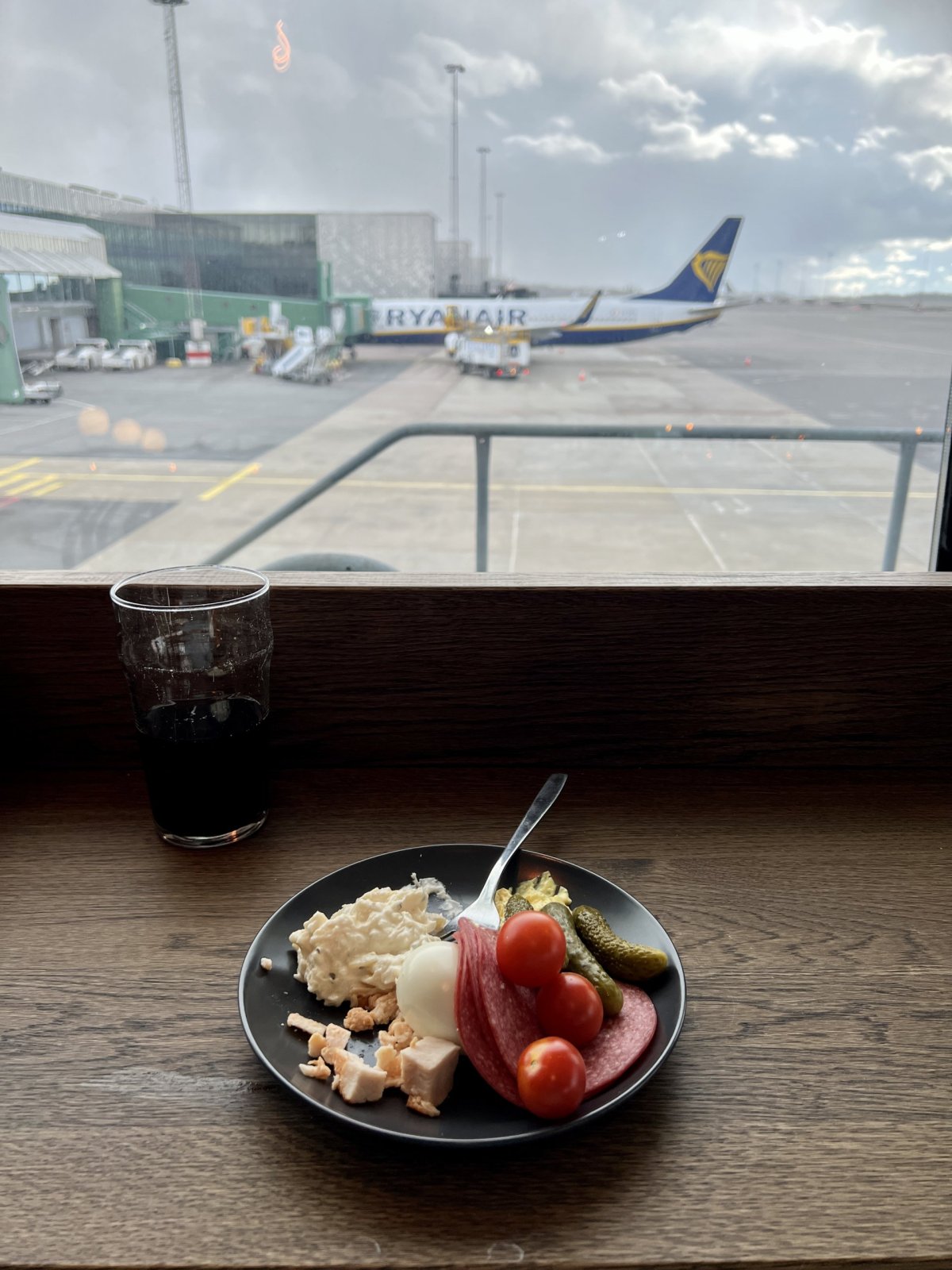 Výhled ze salónku Goteborg GOT