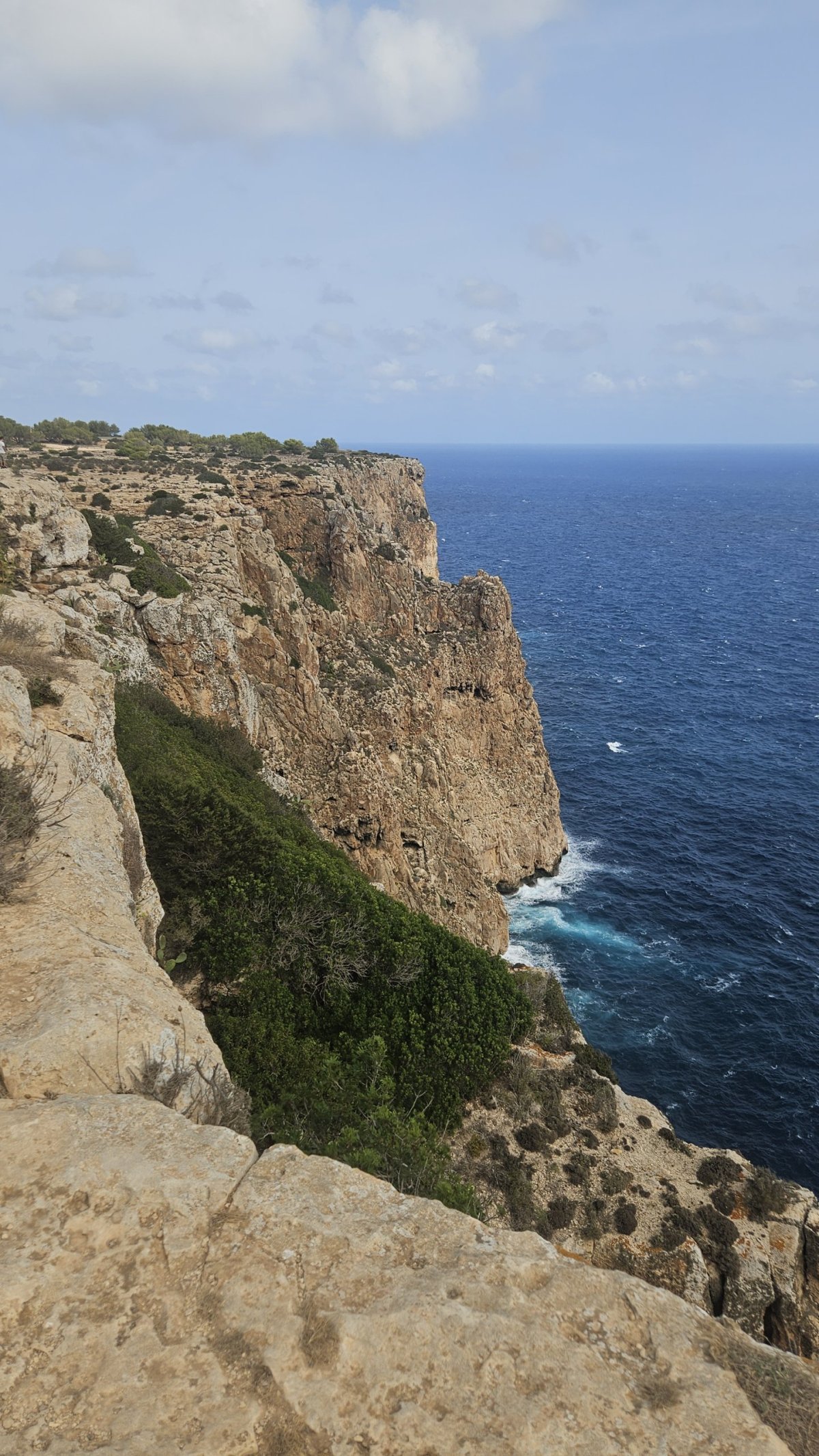 Divoké východní pobřeží