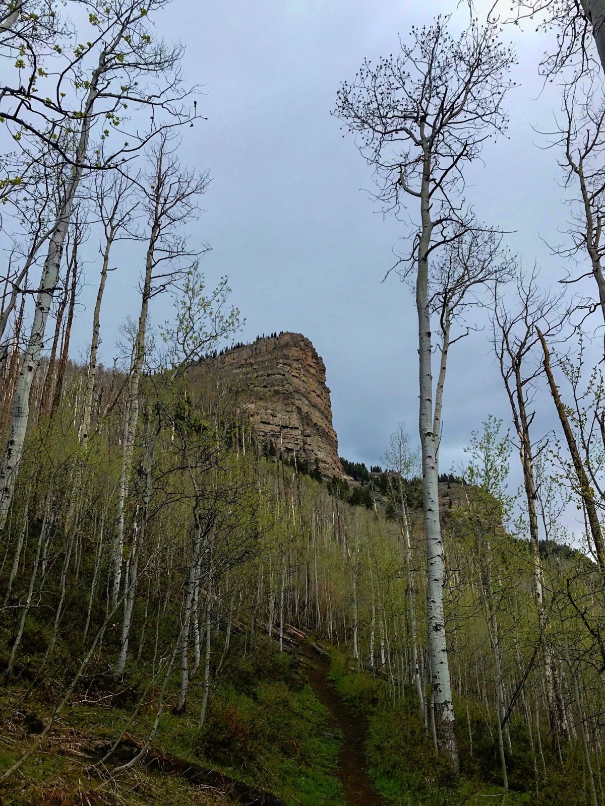 Castle Rock peak