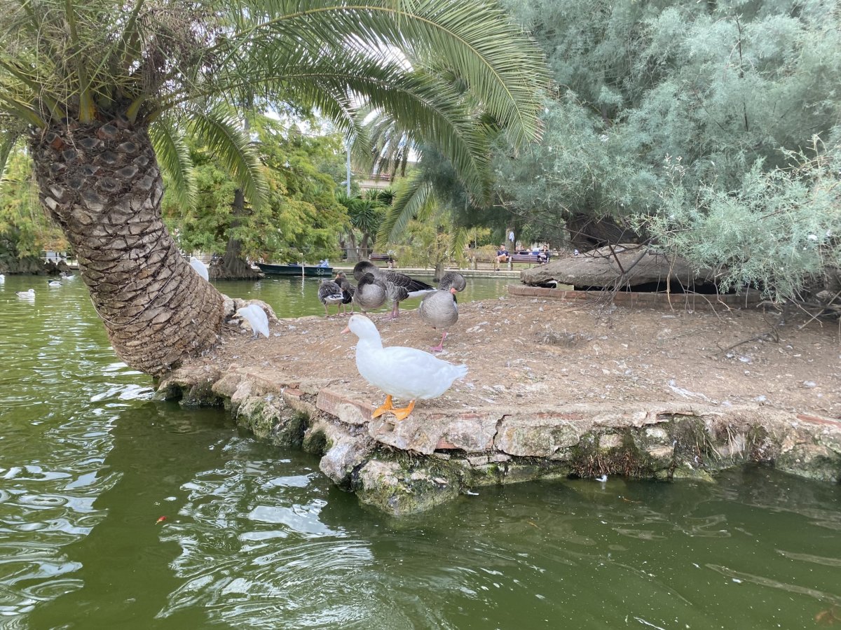 Parc de la Ciutadella