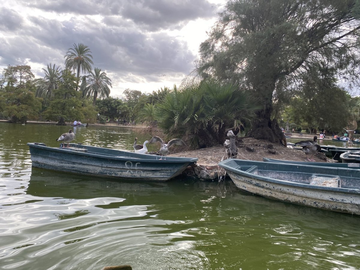 Parc de la Ciutadella