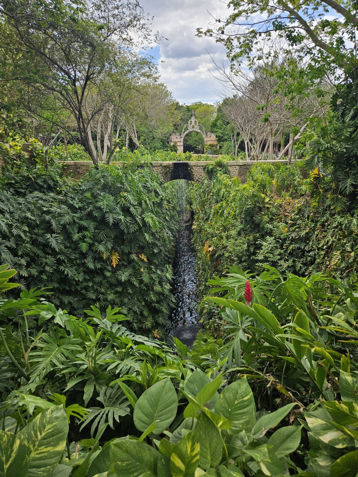 cenote Hacienda Mucuyché