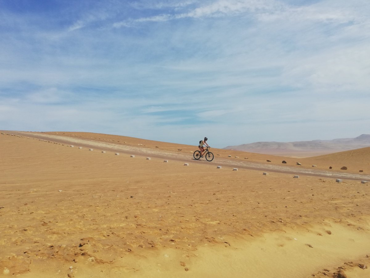 Reserva nacional de Paracas